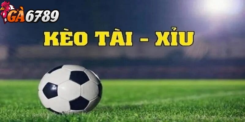 Cách bắt kèo tài xỉu chuẩn, bách phát bách trúng cần biết 3 Cách bắt kèo tài xỉu chuẩn với sự quyết đoán