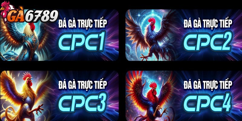 Đá gà trực tuyến GA6789 - Sân chơi cá cược uy tín hàng đầu 3 Lý do nên chọn xem đá gà trực tuyến GA6789
