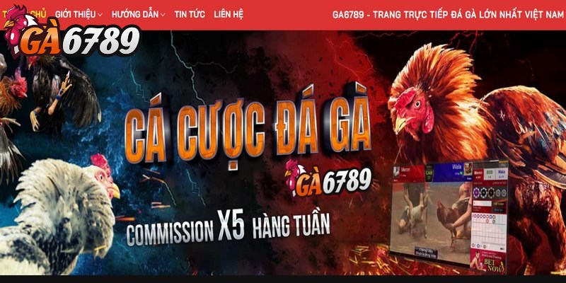 Giới thiệu 3 Giới thiệu GA6789 về tầm nhìn tương lai