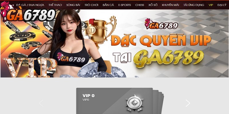 Thưởng VIP cao cấp - Ưu đãi đặc biệt chỉ có tại GA6789 1 Thưởng VIP cao cấp là ưu đãi đặc biệt cho bet thủ trung thành
